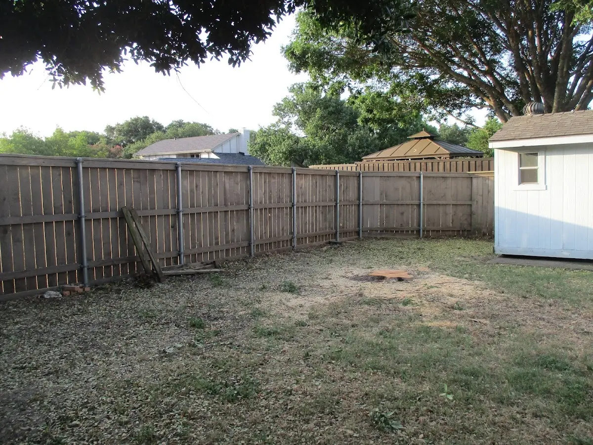 Cleared yard after professional tree removal in San Jose